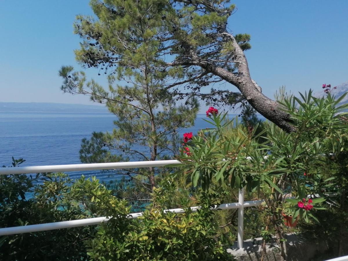 Apartmani Mares - 20 M From The Beach Brela Exterior photo