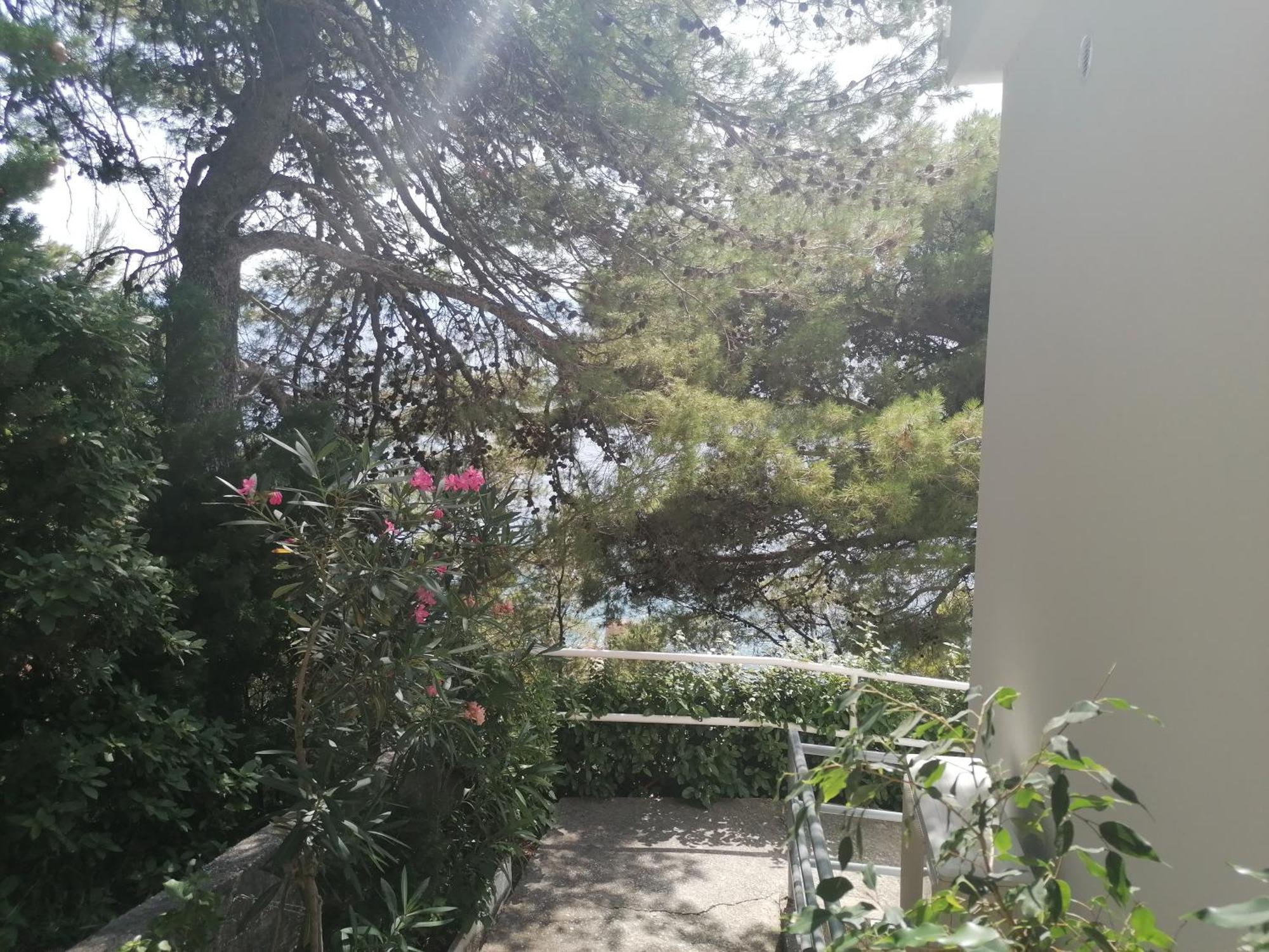 Apartmani Mares - 20 M From The Beach Brela Exterior photo